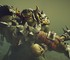 Total War: Warhammer 3 получит переработку финала кампании, новых лордов и рескин Графов-Вампиров