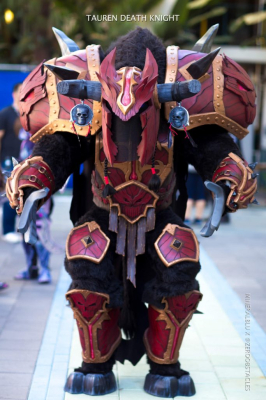 Косплееры переписывают канон World Of Warcraft