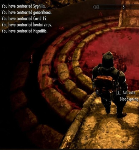 Игрок в Skyrim поделился скриншотом с Довакином, который подцепил кучу болезней из реального мира &ndash; в том числе ковид и хентай-вирус