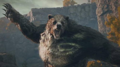 Ветераны Elden Ring троллят новичков с Switch 2 фейковыми советами по игре