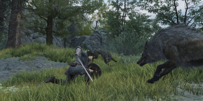 Лучшие моды для Dragon’s Dogma 2 Лучшие моды для Dragon’s Dogma 2