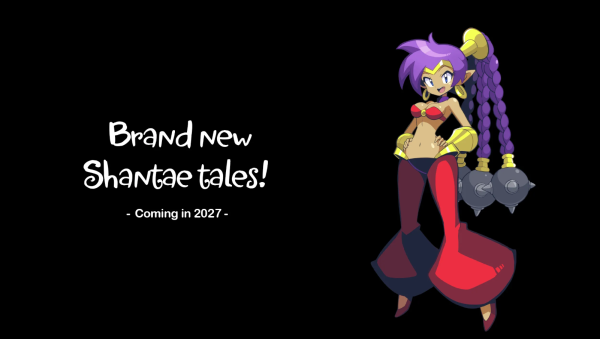 
                Авторы франшизы Shantae раскрыли окно релиза новой части
            