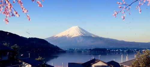 Прямой эфир с Xbox Developer Direct где покажут Fable и Forza Horizon 6 &ndash; старт в 21:00